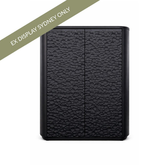 Mikki 2 Door Cabinet - Black - OUTLET NSW