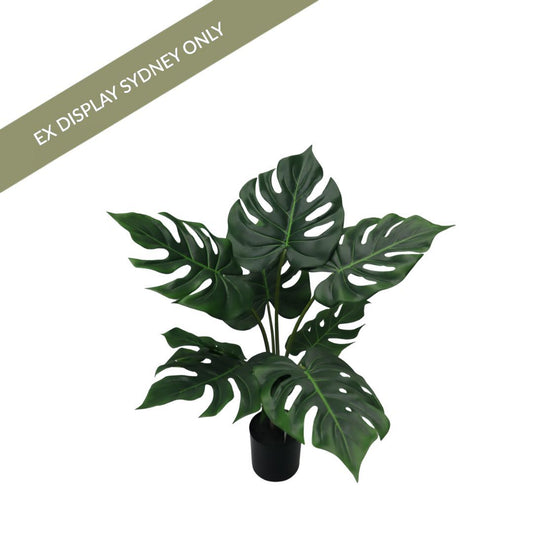 Grand Split Philobush Faux Plant - OUTLET NSW