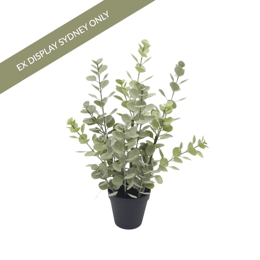 Eucalyptus Faux Plant - Large - OUTLET NSW