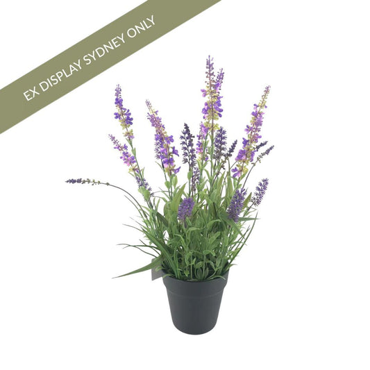 Lavender Faux Plant - OUTLET NSW