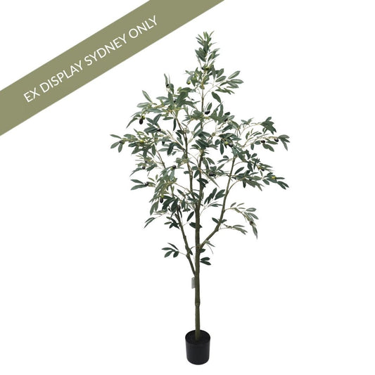 Olive Faux Tree - Small - OUTLET NSW