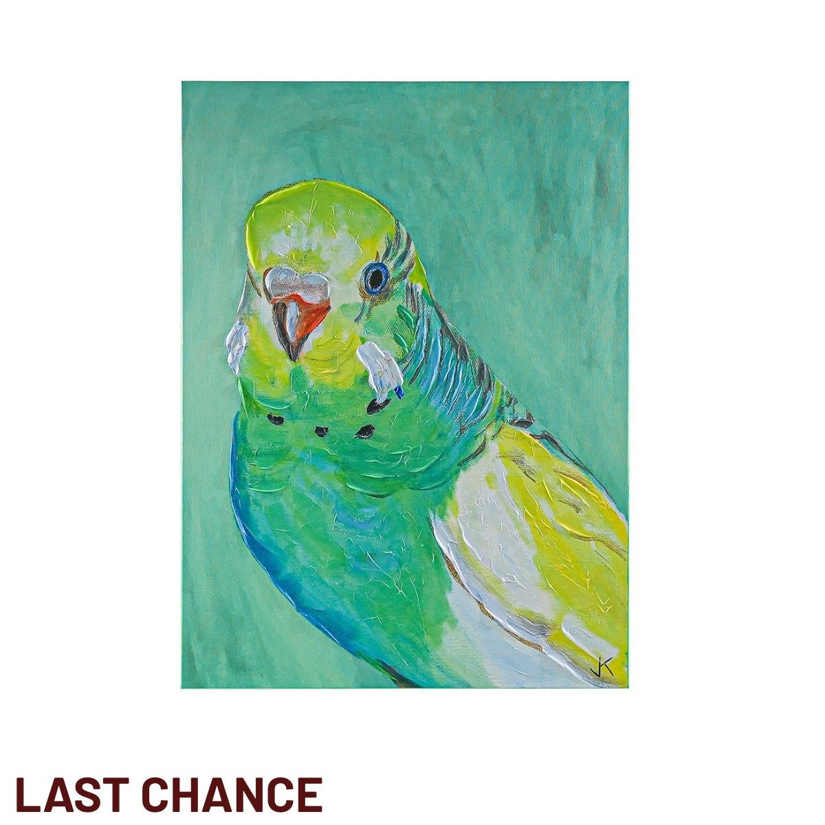Green Budgie Enhanced Canvas Print
