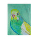 Green Budgie Enhanced Canvas Print