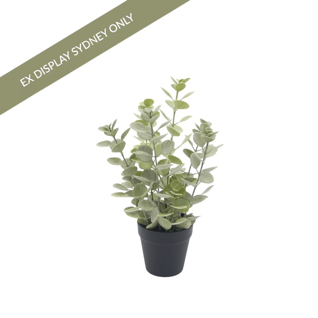 Eucalyptus Faux Plant - Small - OUTLET NSW
