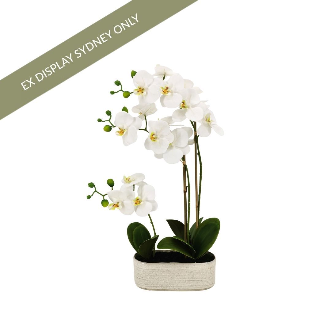 Phalaenopsis Spray Orchid Faux Plant - Small - OUTLET NSW