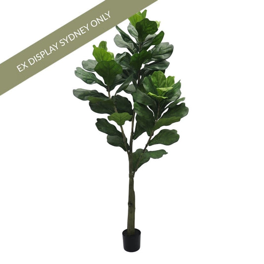 Fiddle Faux Tree - Large - OUTLET NSW