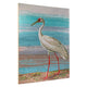 Crane Series II Enhanced Canvas Print