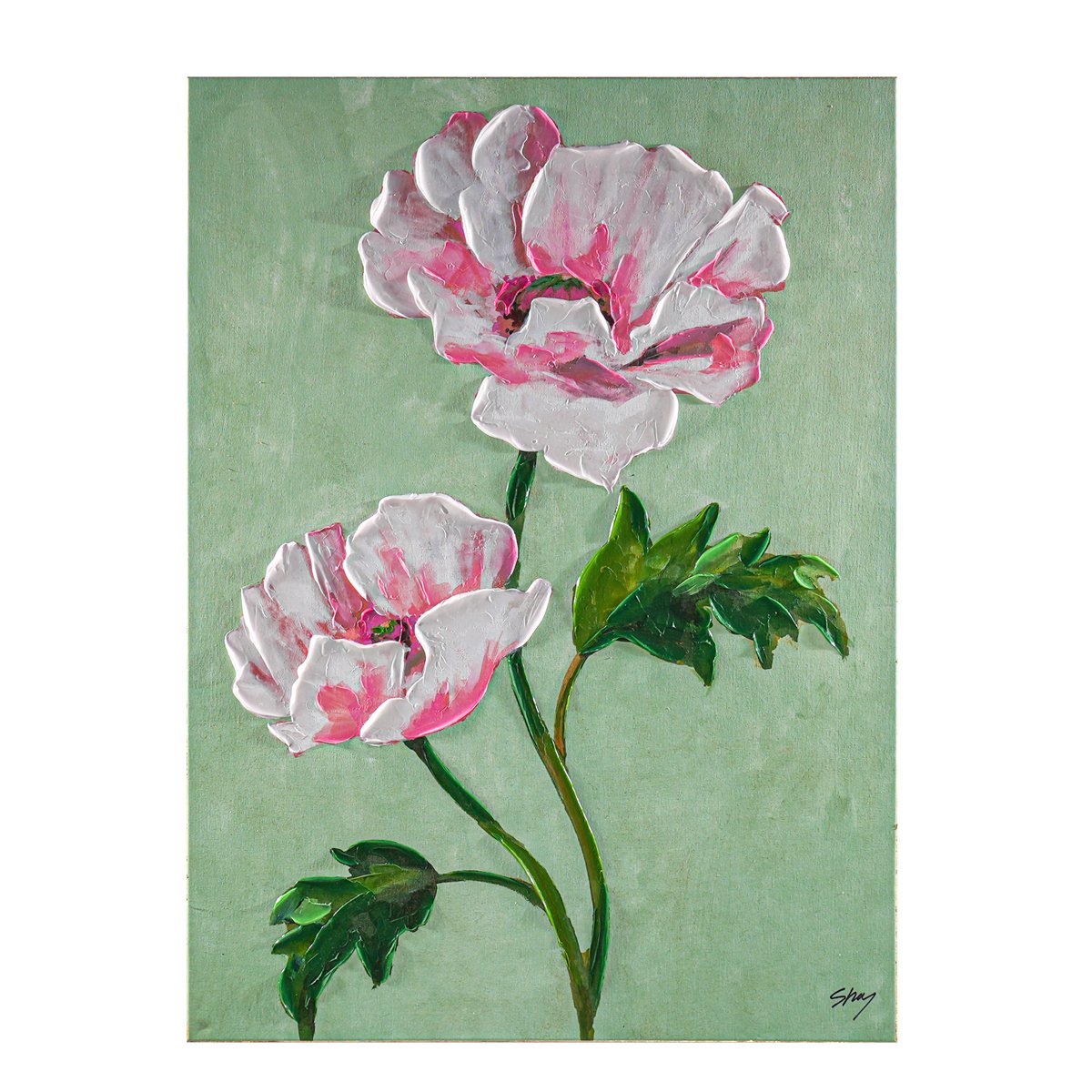 White Poppy Enhanced Canvas Print - OUTLET NSW