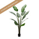 Strelitzia Artificial Tree -180cm - OUTLET VIC