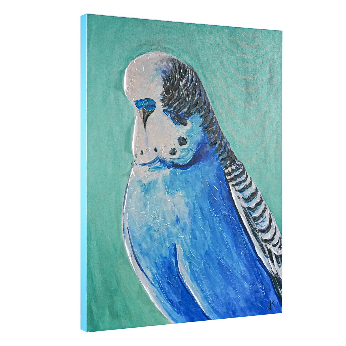 Blue Budgie Enhanced Canvas Print