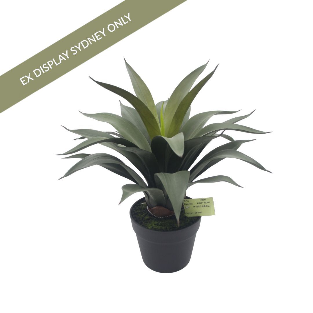 Agave Faux Plant - OUTLET NSW