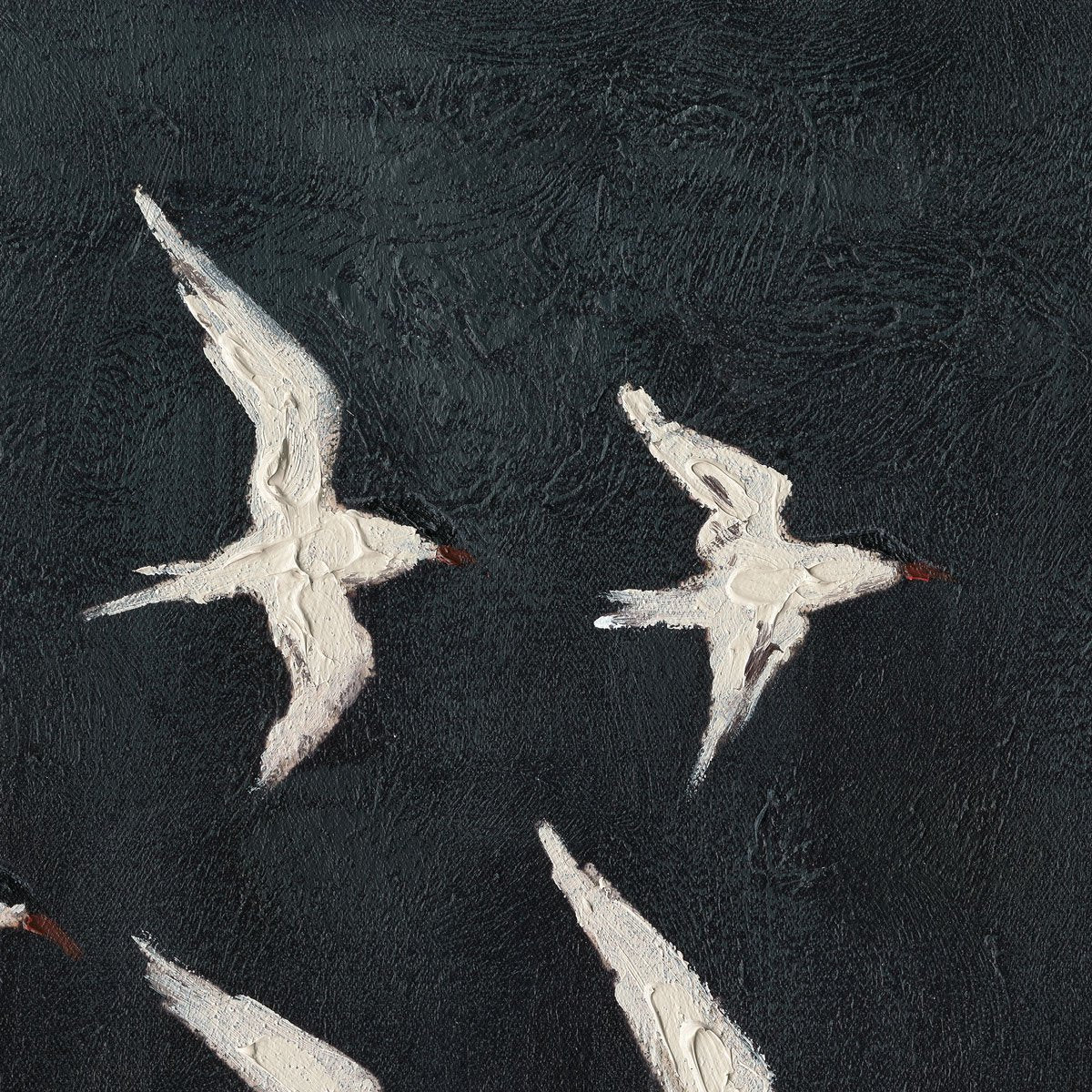 Midnight Wing 70x100cm Canvas Painting