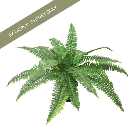 Boston Fern Faux Plant - OUTLET NSW