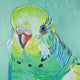 Green Budgie Enhanced Canvas Print