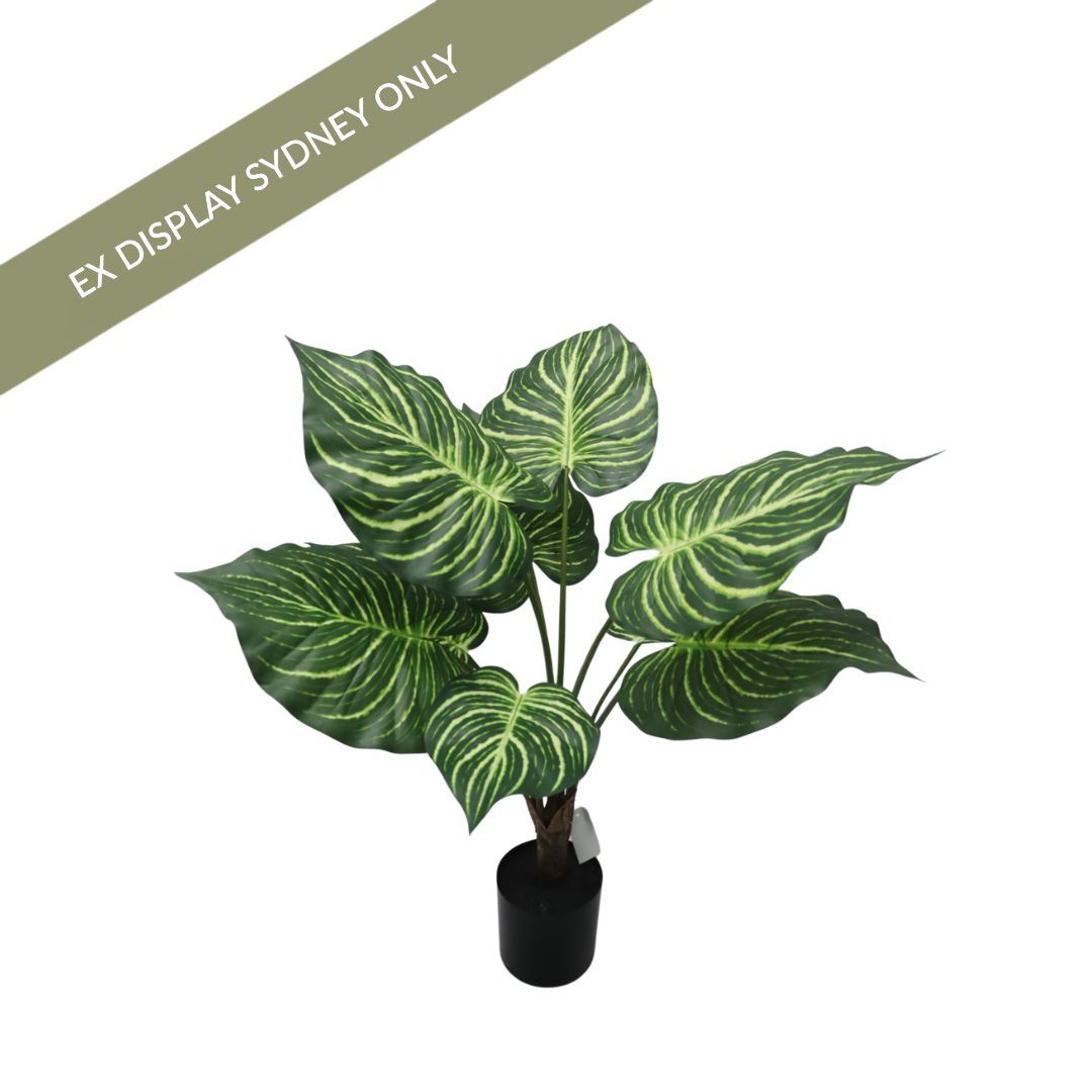 Zebra Faux Plant - OUTLET NSW