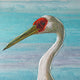 Crane Series II Enhanced Canvas Print