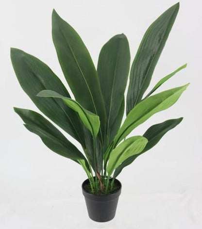 Aspidistra Faux Plant 60cm