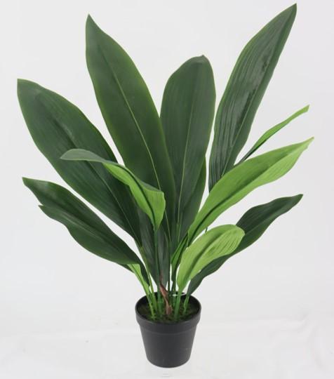 Aspidistra Faux Plant 60cm - OUTLET NSW