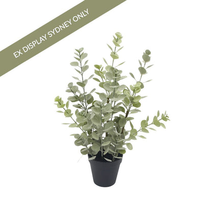 Eucalyptus Faux Plant - Large - OUTLET NSW