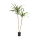 Draceana Artificial Plant - 106cm - Min buy of 2 - OUTLET VIC