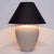 Picasso Table Lamp - Natural w Black Shade